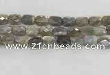 CMS1825 15.5 inches 12*16mm faceted rectangle AB-color moonstone beads