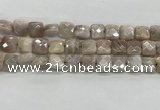 CMS1828 15.5 inches 12*12mm faceted square AB-color moonstone beads