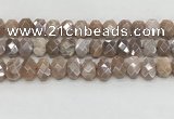 CMS1838 10*12mm - 12*16mm faceted freeform AB-color moonstone beads