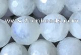 CMS1862 15.5 inches 10mm faceted round white moonstone gemstone beads