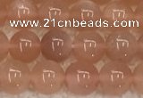 CMS1895 15.5 inches 6mm round moonstone gemstone beads