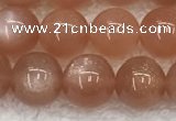 CMS1898 15.5 inches 10mm round moonstone gemstone beads