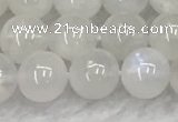 CMS1902 15.5 inches 8mm round white moonstone gemstone beads