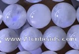 CMS1922 15.5 inches 8mm round white moonstone gemstone beads