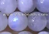 CMS1923 15.5 inches 10mm round white moonstone gemstone beads