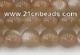 CMS1956 15.5 inches 5mm round natural moonstone gemstone beads