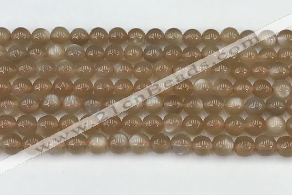 CMS1957 15.5 inches 6mm round natural moonstone gemstone beads