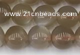 CMS1958 15.5 inches 7mm round natural moonstone gemstone beads