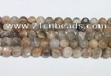 CMS2012 15.5 inches 10mm round moonstone gemstone beads