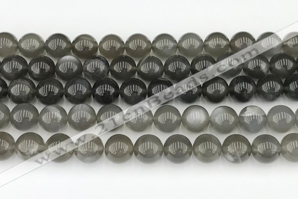 CMS2022 15.5 inches 10mm round black moonstone beads wholesale