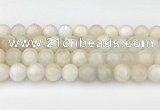 CMS2029 15.5 inches 10mm round white moonstone beads wholesale