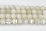 CMS2030 15.5 inches 12mm round white moonstone beads wholesale