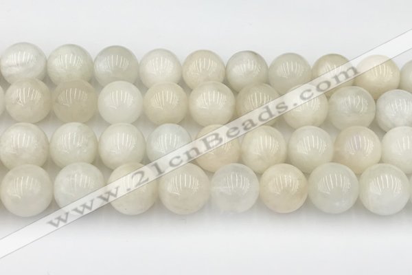 CMS2030 15.5 inches 12mm round white moonstone beads wholesale