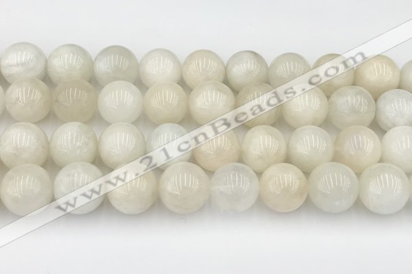 CMS2031 15.5 inches 14mm round white moonstone beads wholesale