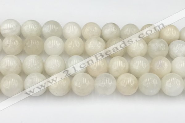 CMS2031 15.5 inches 14mm round white moonstone beads wholesale