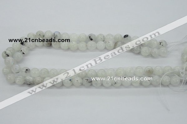 CMS204 15.5 inches 10mm round moonstone gemstone beads wholesale