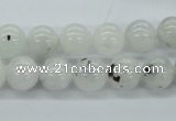 CMS205 15.5 inches 11mm round moonstone gemstone beads wholesale