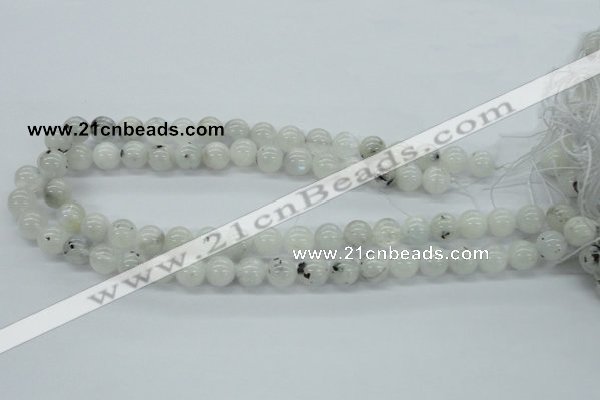 CMS205 15.5 inches 11mm round moonstone gemstone beads wholesale