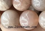 CMS2056 15.5 inches 10mm round moonstone gemstone beads