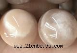 CMS2057 15.5 inches 12mm round moonstone gemstone beads