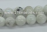 CMS206 15.5 inches 12mm round moonstone gemstone beads wholesale