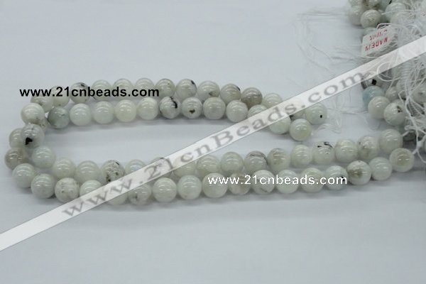 CMS206 15.5 inches 12mm round moonstone gemstone beads wholesale