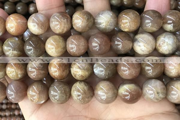 CMS2065 15.5 inches 12mm round moonstone gemstone beads