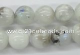 CMS207 15.5 inches 14mm round moonstone gemstone beads wholesale