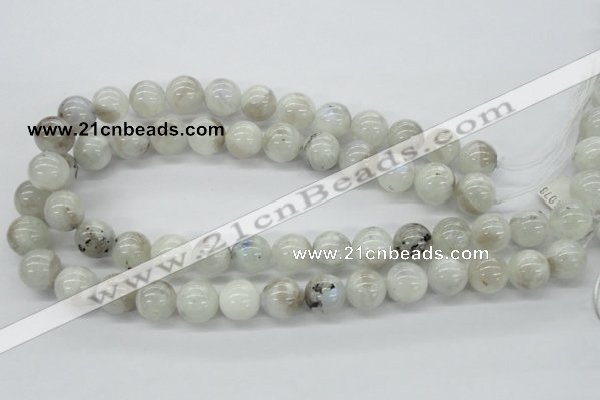 CMS207 15.5 inches 14mm round moonstone gemstone beads wholesale