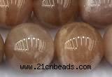 CMS2115 15 inches 12mm round moonstone beads