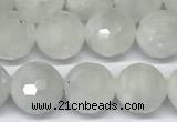 CMS2124 15 inches 8mm faceted rondelle white moonstone beads