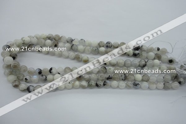 CMS216 15.5 inches 8mm round white moonstone gemstone beads