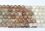 CMS2166 15 inches 8mm round rainbow moonstone beads