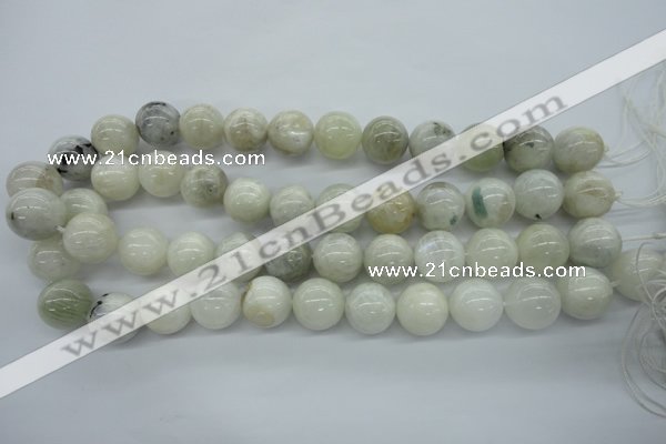 CMS217 15.5 inches 16mm round white moonstone gemstone beads