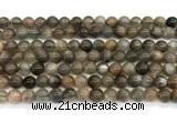 CMS2287 15 inches 6mm round grey moonstone beads wholesale