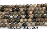 CMS2288 15 inches 8mm round grey moonstone beads wholesale