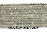 CMS2293 15 inches 4mm round grey moonstone beads wholesale