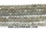 CMS2294 15 inches 6mm round grey moonstone beads wholesale