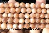 CMS2307 15 inches 8mm round moonstone gemstone beads