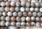 CMS2357 15 inches 10mm round moonstone beads wholesale