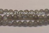 CMS301 15.5 inches 6mm round natural grey moonstone beads wholesale