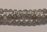 CMS301 15.5 inches 6mm round natural grey moonstone beads wholesale