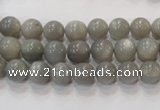 CMS303 15.5 inches 8mm round natural grey moonstone beads wholesale