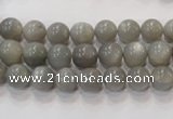 CMS303 15.5 inches 8mm round natural grey moonstone beads wholesale