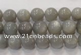 CMS305 15.5 inches 10mm round natural grey moonstone beads wholesale