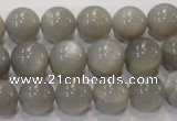 CMS307 15.5 inches 12mm round natural grey moonstone beads wholesale