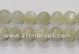 CMS311 15.5 inches 6mm round natural moonstone beads wholesale