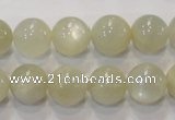 CMS314 15.5 inches 12mm round natural moonstone beads wholesale