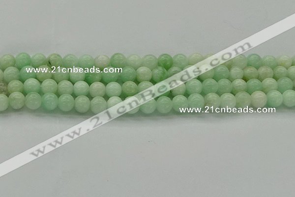 CMS411 15.5 inches 6mm round green moonstone beads wholesale