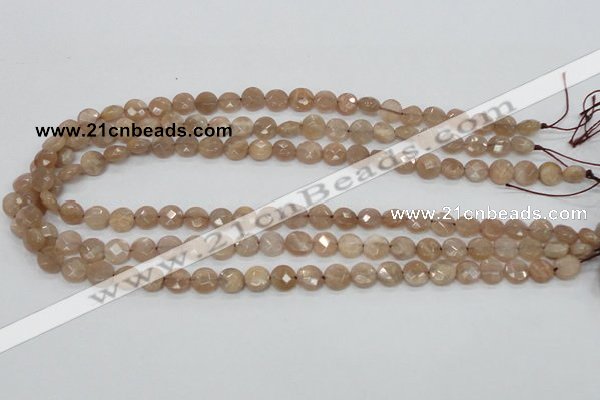 CMS43 15.5 inches 8mm faceted coin moonstone gemstone beads